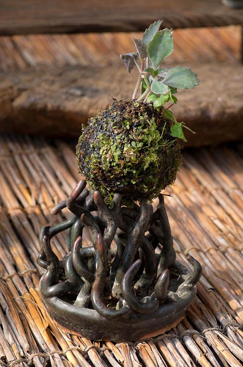 Bonsaje 2019 - foto 5