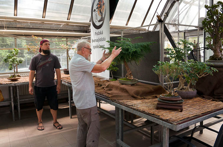 Bonsaje 2025 - vernisáž - foto 55