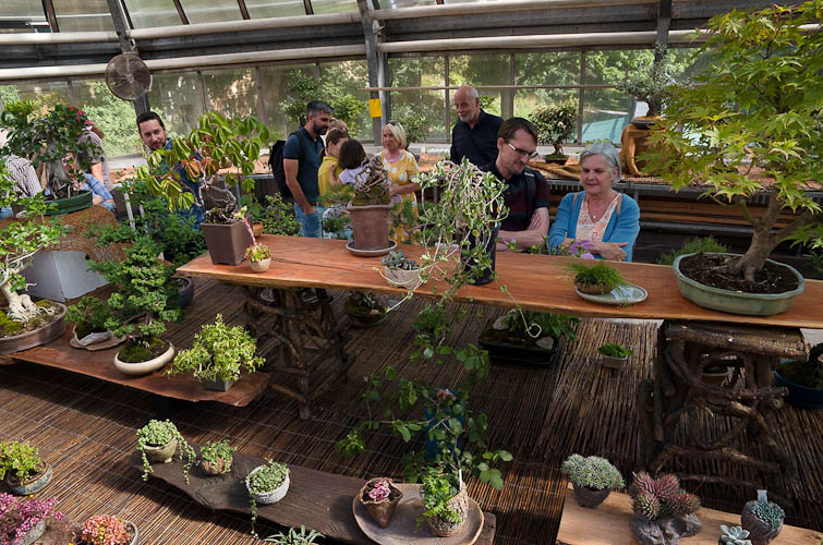 Bonsaje 2025 - vernisáž - foto 79