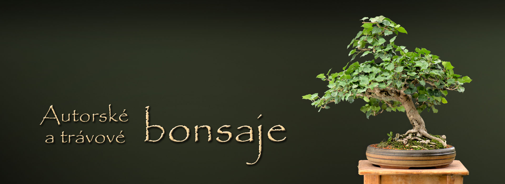 Bonsaj-titul-img